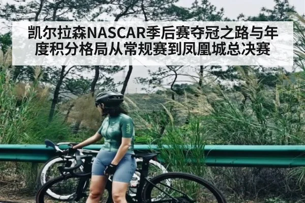 凯尔拉森NASCAR季后赛夺冠之路与年度积分格局从常规赛到凤凰城总决赛
