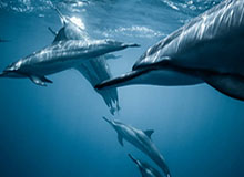 通过“B体育官方”开启你的体育新纪元